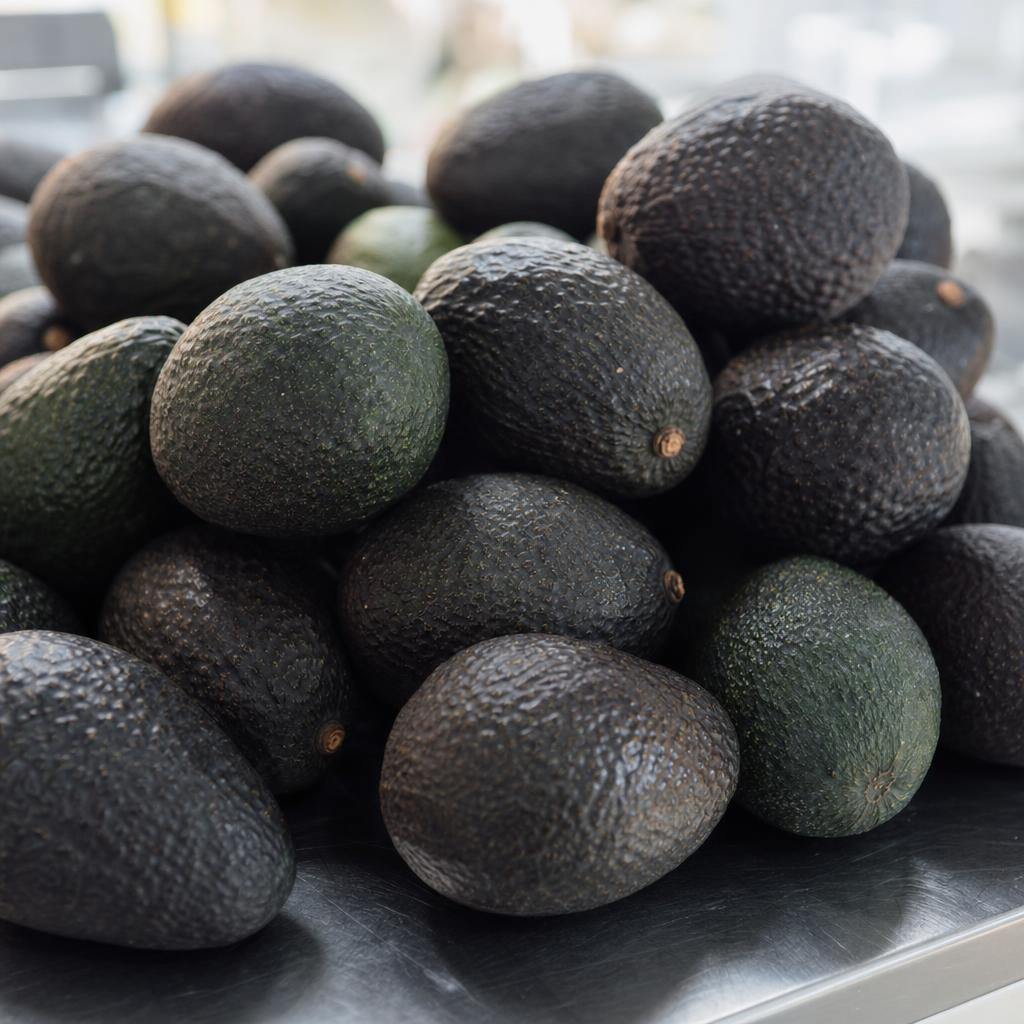 Avocado