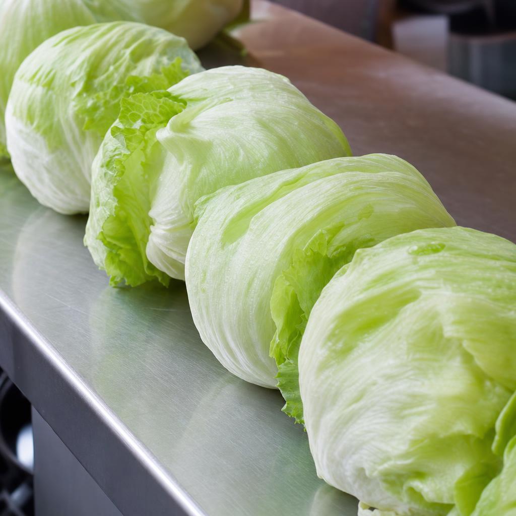 Iceberg Lettuce x 12